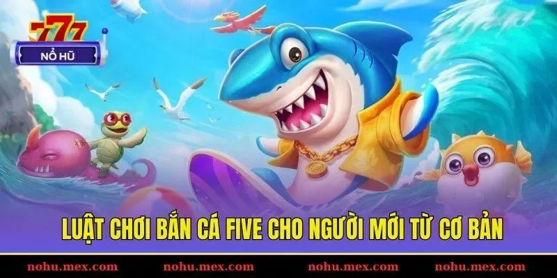 Luật chơi bắn c&aacute; Five cho người mới từ cơ bản